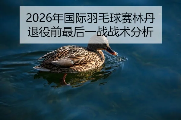 nian-guo-ji-yu-mao-qiu-sai-lin-dan-tui-yi-qian-zui-hou-yi-zhan-zhan-shu-fen-xi-2-702.jpg