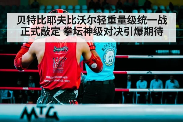 贝特比耶夫比沃尔轻重量级统一战正式敲定 拳坛神级对决引爆期待