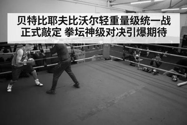 boxer training gym
