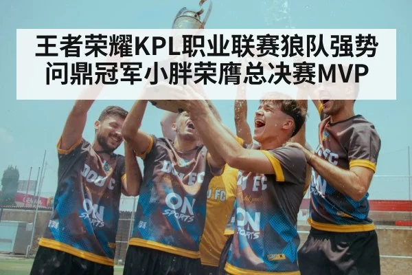 王者荣耀KPL职业联赛狼队强势问鼎冠军小胖荣膺总决赛MVP